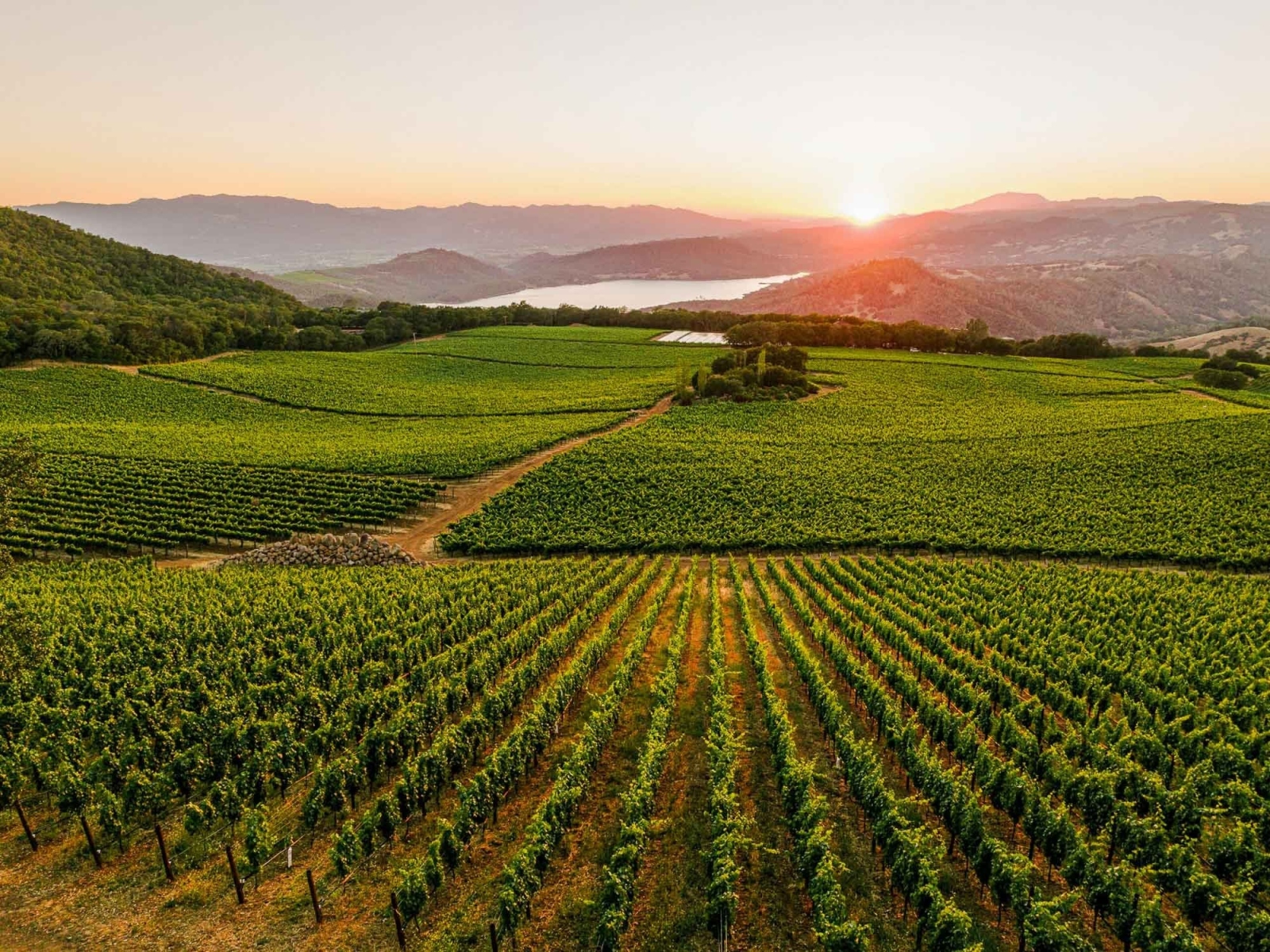 Legends of Wine | 14 november 2025