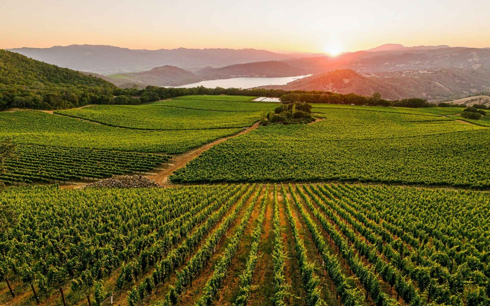 Legends of Wine | 14 november 2025